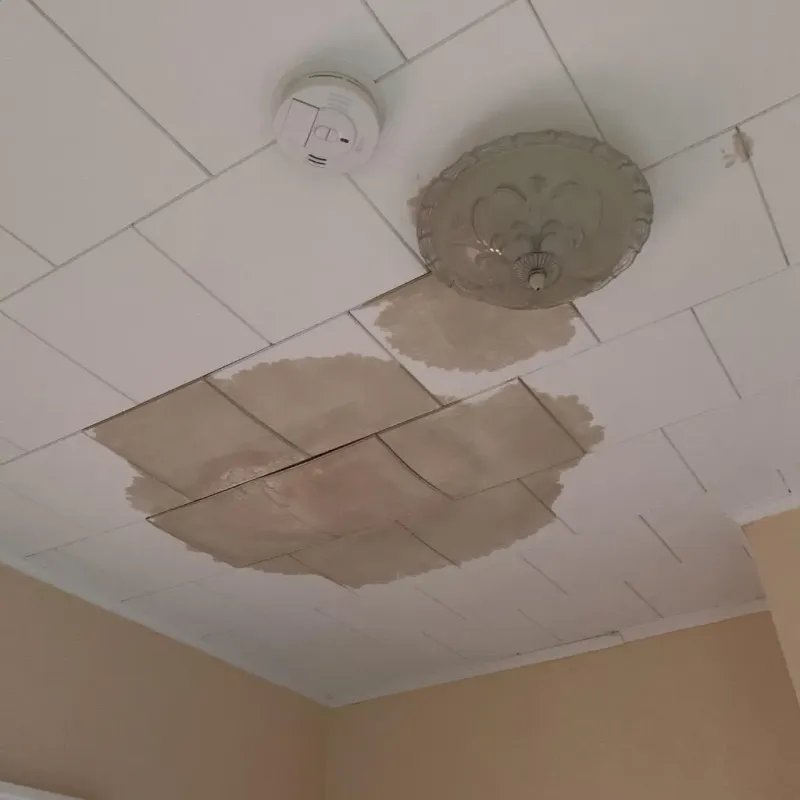 Ceiling Water Damage Repair in Jewett, TX