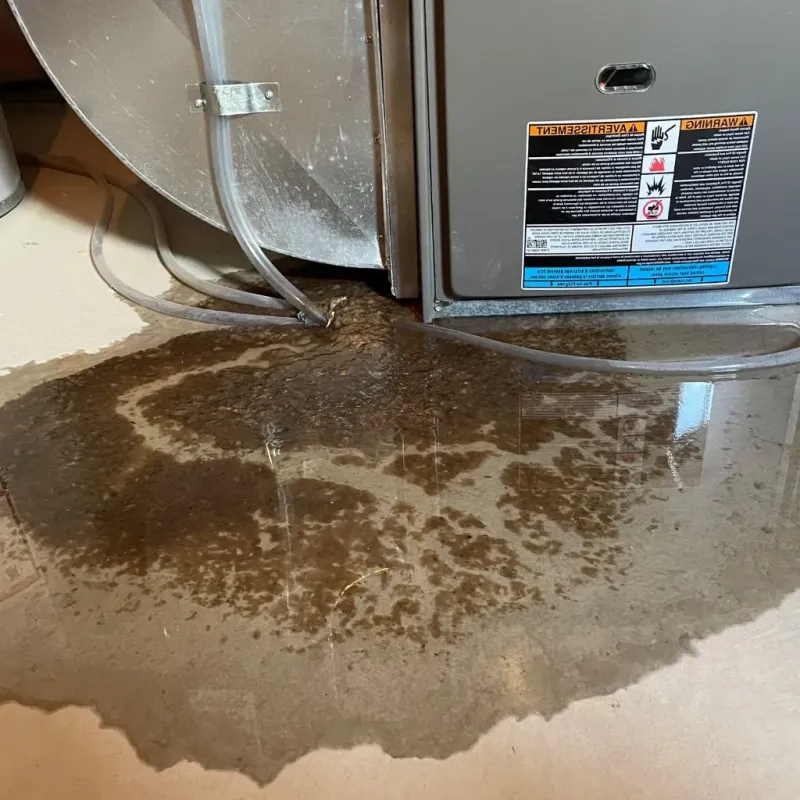 Pipe Burst and Leak Restoration in Jewett, TX