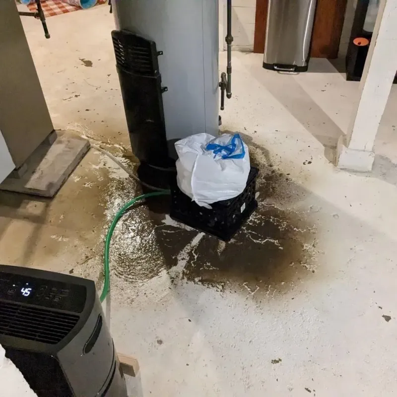 Sewage Backup Cleanup Service in Jewett, TX